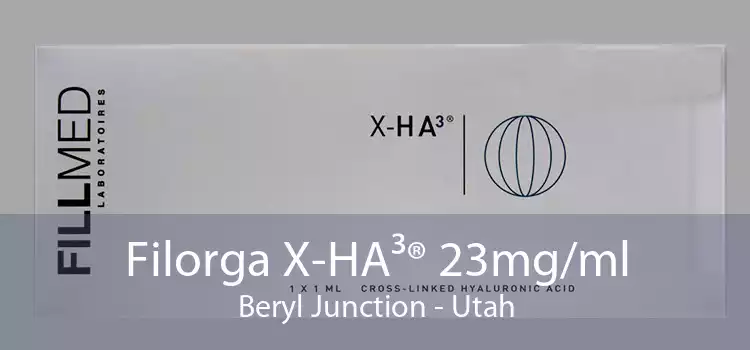 Filorga X-HA³® 23mg/ml Beryl Junction - Utah