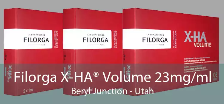 Filorga X-HA® Volume 23mg/ml Beryl Junction - Utah