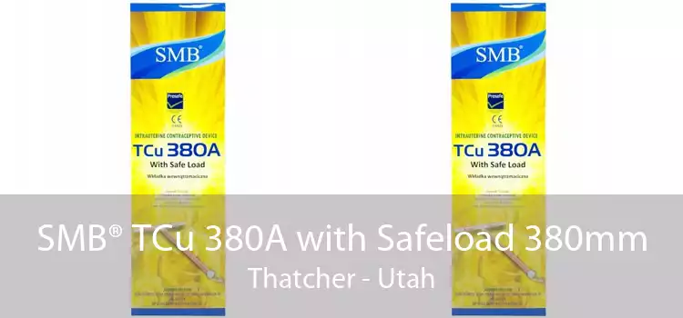 SMB® TCu 380A with Safeload 380mm Thatcher - Utah